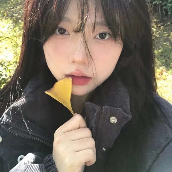 朋友圈