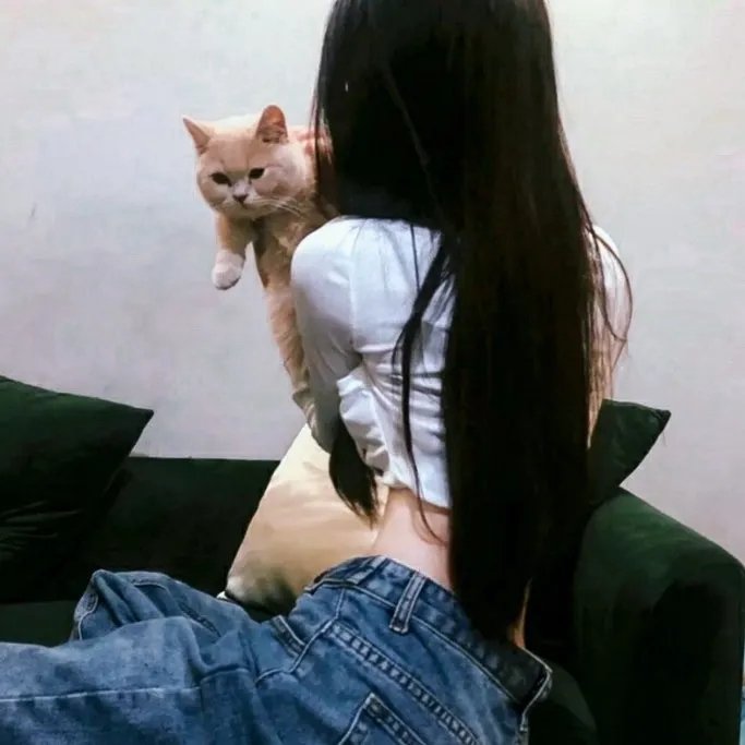 女剧盗